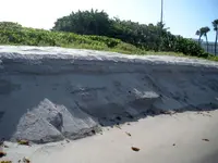 junobeach01.webp