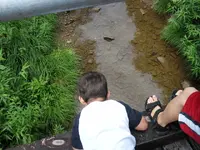 Colton at bridge.webp