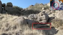 heart and flat rock.webp
