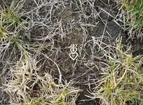 DSCN0596.webp
