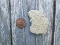 Possible_Counterfeit_Silver 001.webp