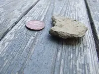 Possible_Counterfeit_Silver 005.webp