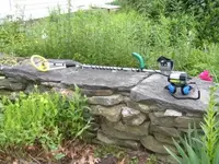 100_0006.webp