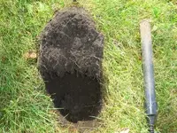 Quarter in dirt small.webp