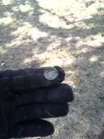 moto_0006.webp