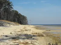 2009_0308bluffsunsetspring0013.webp