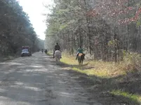 2009_0308bluffsunsetspring0019.webp