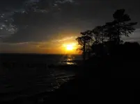 2009_0308bluffsunsetspring0142.webp