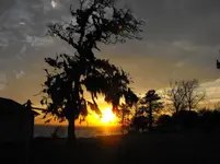 2009_0308bluffsunsetspring0150.webp