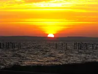 2009_0308bluffsunsetspring0156.webp