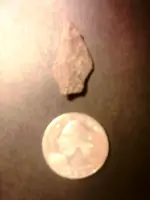 BP1.webp