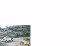 Jeep & Roads 1.webp