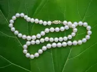 freshwaterpearls7.webp