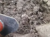8-7-09 in hole.webp