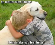 !cid_51117679CD1641A1A92272EC408A0F7D@sparkyone.webp
