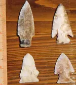 arrowhead .webp