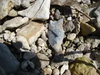 Arrowhead In Situ Sept 6 09.webp