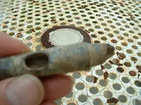 DSCF0098.webp