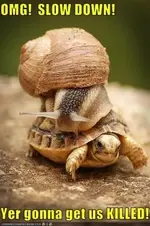 snturt.webp