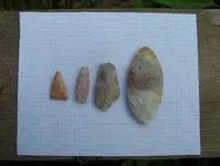 mexico_fred_184.webp
