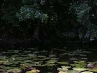 secluded hideaway.webp