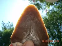 DSCN0096.webp