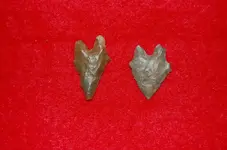 New Pics11.webp
