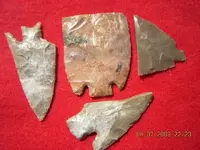 DSCN0098.webp