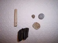 000_0135.webp