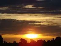 DSC03865.webp