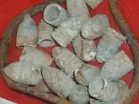 allens coin shots 018.webp