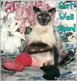 04-get-well-soon.webp