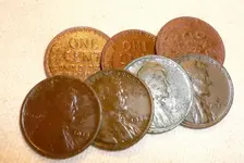 7-1wheats.webp