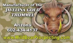 Wild Boar Card.webp
