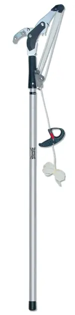 tree pruner.webp