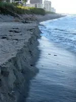 junobeach81909.webp