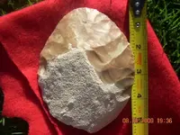 DSCN0100.webp