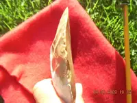 DSCN0101.webp