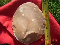 DSCN0102.webp