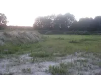 Blake and I sharkstooth hunting at sand pit off Hwy 111 South, A 003.webp