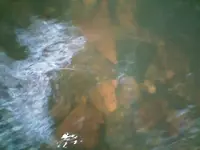 0919091339[1].webp