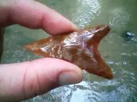 0919091340[1].webp