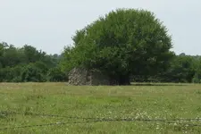 close up rock house.webp