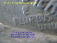 buffalo 3 leg 058 copy.webp