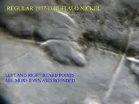 buffalo 3 leg 060 copy.webp