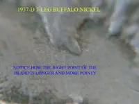 buffalo 3 leg 061 copy.webp