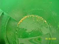 8-30-                 78-13-09 gold.webp