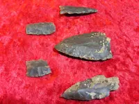 SNB14392.webp