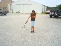 whip2.webp
