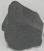 bigfossil 005.webp